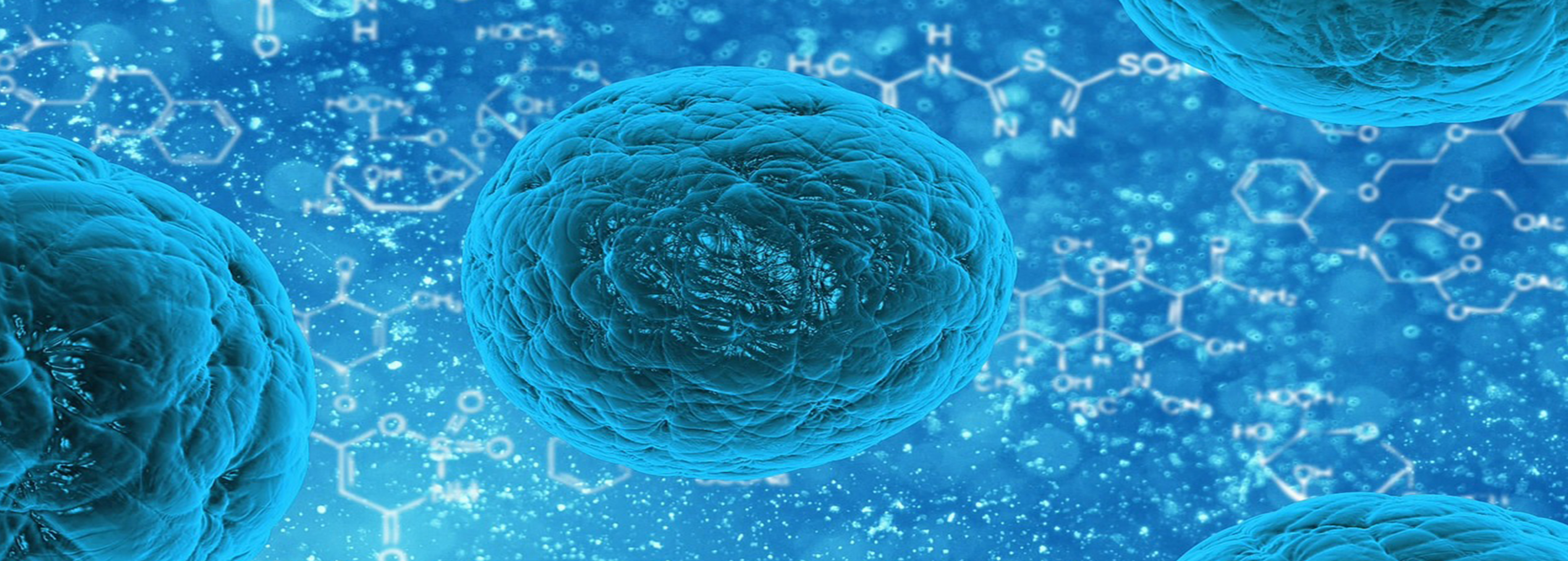 candidiasis y hiperhidrosis