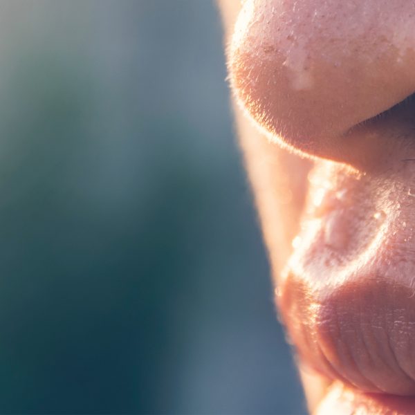 glandulas sudoriparas